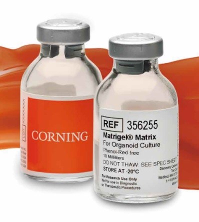 標(biāo)準(zhǔn)Corning Matrigel